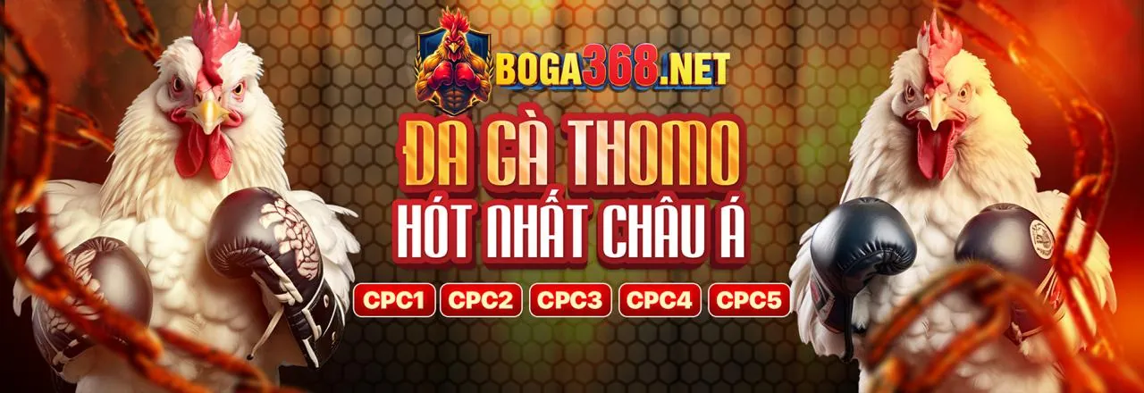Đá gà trực tuyến Fun97 Code 2026